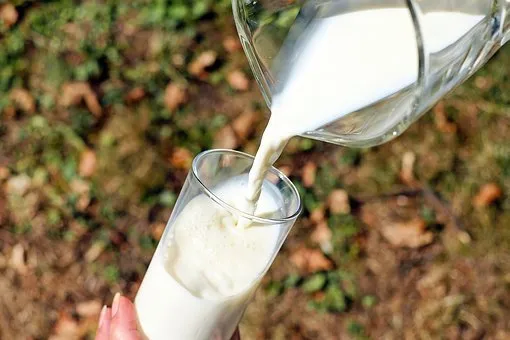 Новосибирская область нарастила производство молока с 2013 года на 39% 