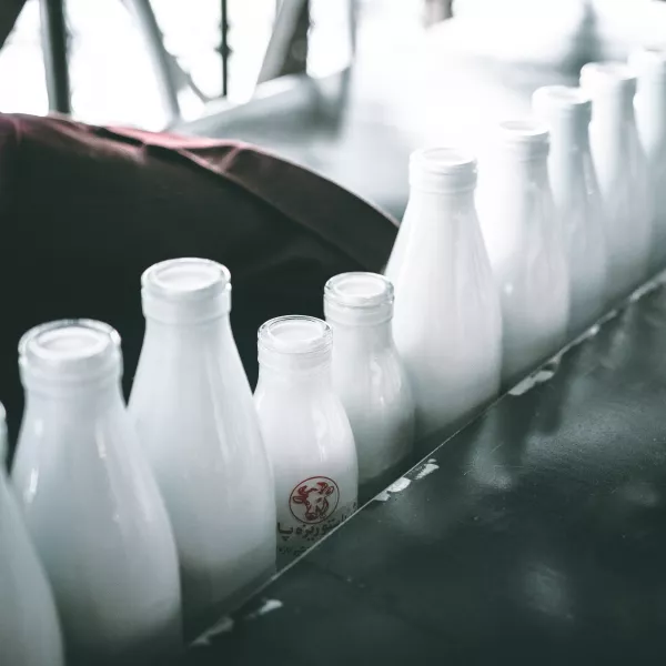 В новосибирском Минсельхозе сообщили о росте цен на молоко — по 5-6 копеек за неделю