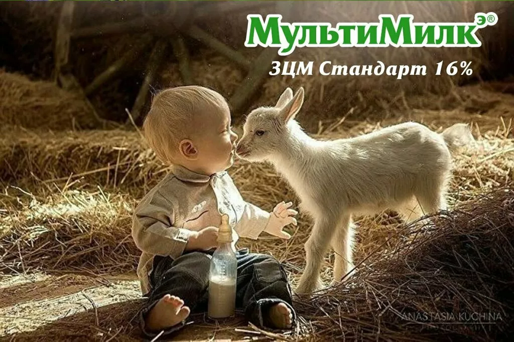 заменитель цельного молока в Новосибирске и Новосибирской области 4