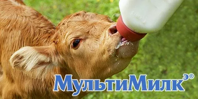 заменитель цельного молока в Новосибирске и Новосибирской области