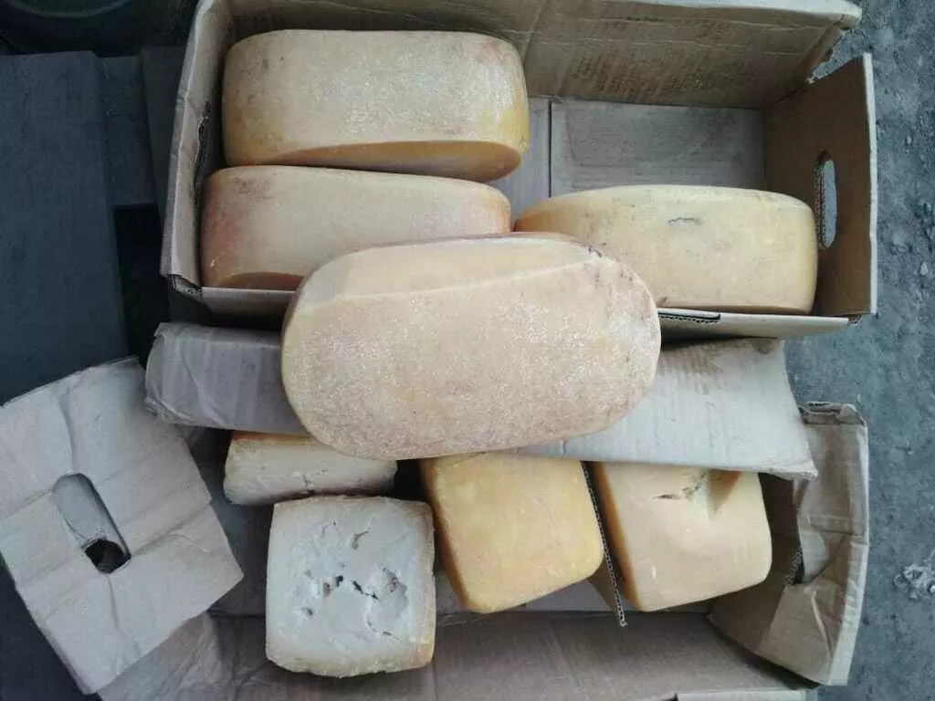 сыр для переработки в Новосибирске
