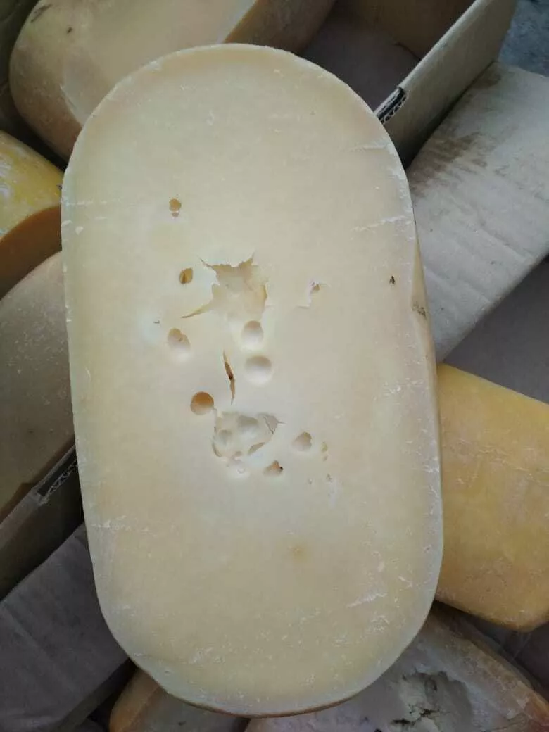 сыр для переработки в Новосибирске 2